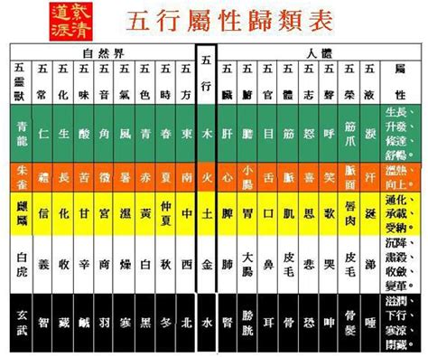 頭髮五行屬性